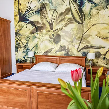 Ruzek Hotel 3*