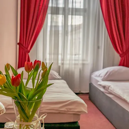 Ruzek Hotel Hranice (Olomouc)