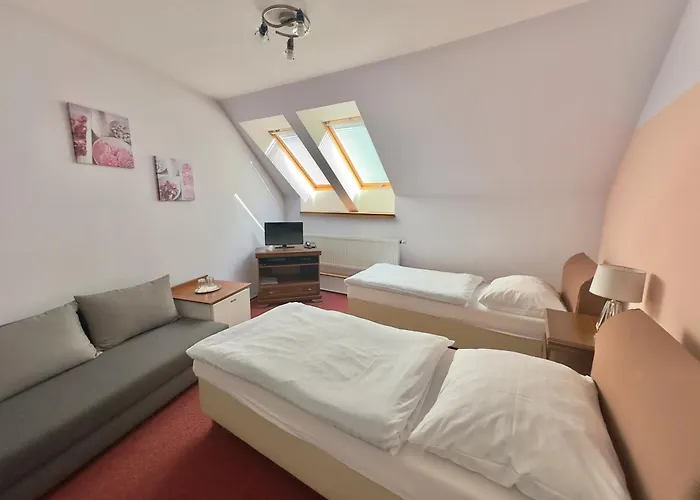 Hotel Ruzek Hranice (Olomouc)